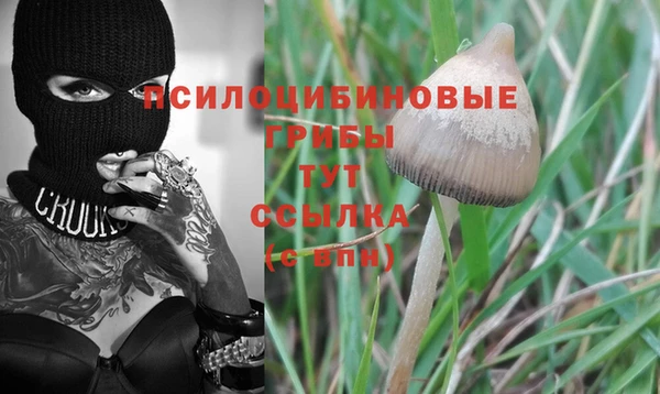 индика Одинцово