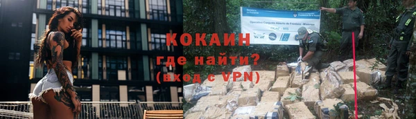 гашик Михайлов