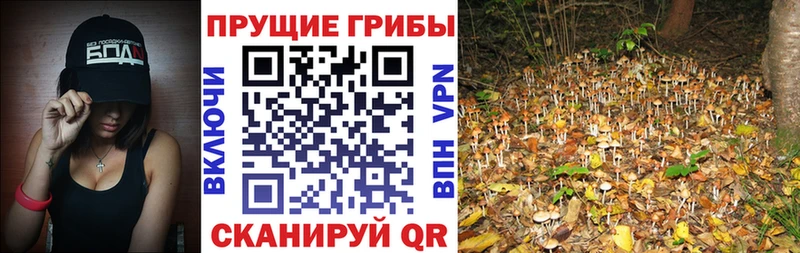 MEGA как войти  Кемь  Галлюциногенные грибы мухоморы 